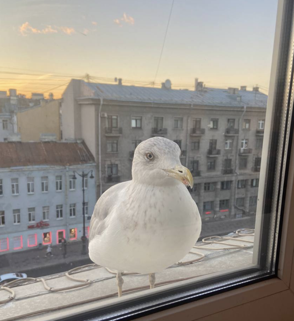 Хорошая атмосфера